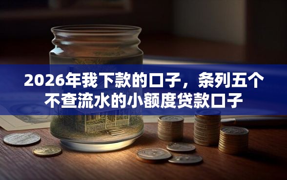 2026年我下款的口子，条列五个不查流水的小额度贷款口子