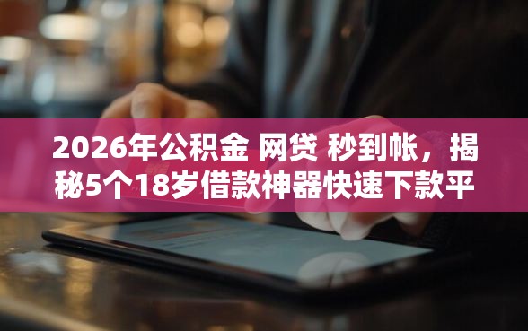 2026年公积金 网贷 秒到帐，揭秘5个18岁借款神器快速下款平台