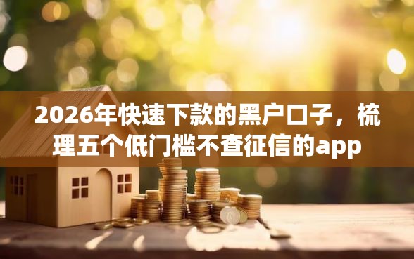 2026年快速下款的黑户口子，梳理五个低门槛不查征信的app