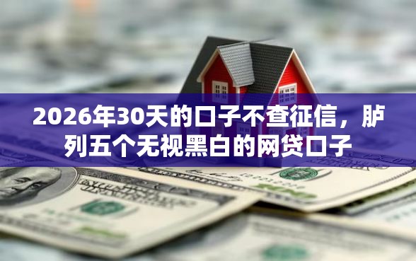 2026年30天的口子不查征信，胪列五个无视黑白的网贷口子