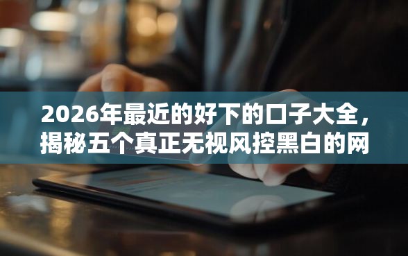 2026年最近的好下的口子大全，揭秘五个真正无视风控黑白的网贷平台