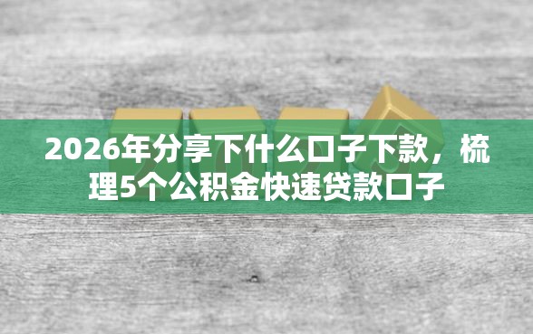 2026年分享下什么口子下款,梳理5个公积金快速贷款口子 2026年分享下什么口子下款,梳理5个公积金快速贷款口子