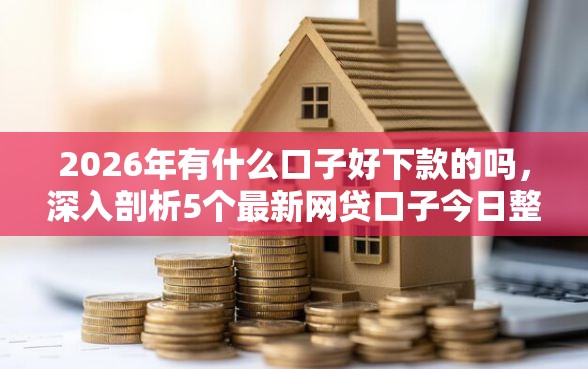 2026年有什么口子好下款的吗，深入剖析5个最新网贷口子今日整理这五个口子