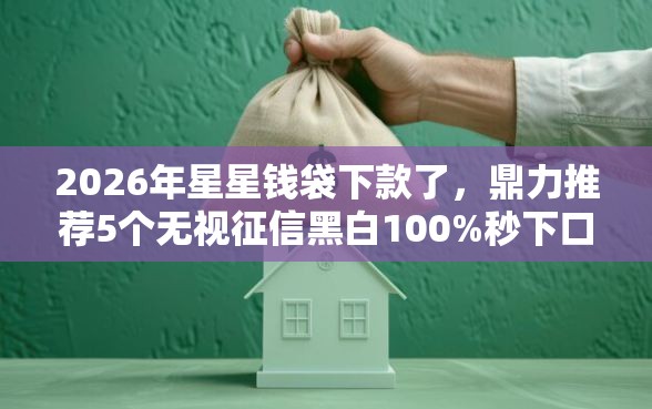 2026年星星钱袋下款了，鼎力推荐5个无视征信黑白100%秒下口子