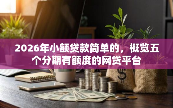 2026年小额贷款简单的，概览五个分期有额度的网贷平台