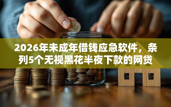 2026年未成年借钱应急软件，条列5个无视黑花半夜下款的网贷口子
