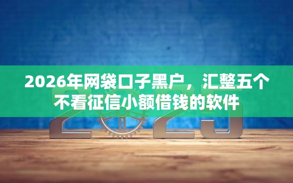 2026年网袋口子黑户，汇整五个不看征信小额借钱的软件