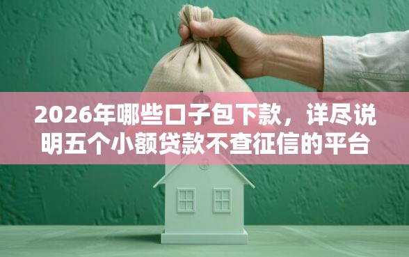2026年哪些口子包下款，详尽说明五个小额贷款不查征信的平台