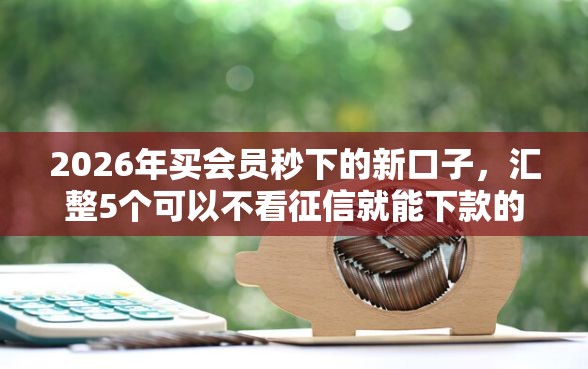 2026年买会员秒下的新口子，汇整5个可以不看征信就能下款的软件