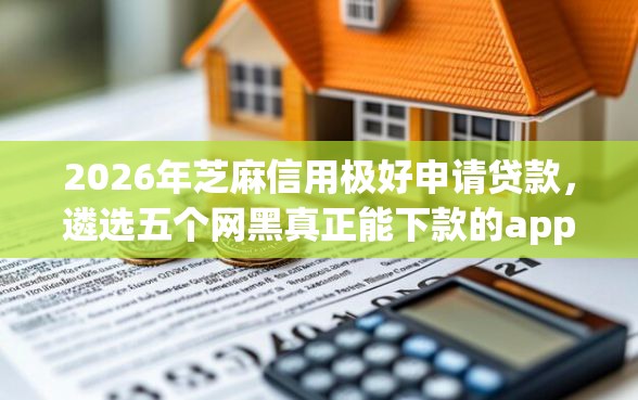 2026年芝麻信用极好申请贷款，遴选五个网黑真正能下款的app