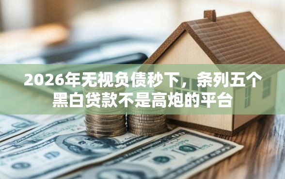 2026年无视负债秒下，条列五个黑白贷款不是高炮的平台