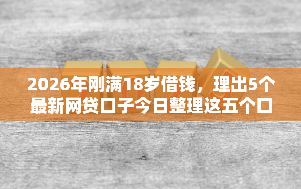 2026年刚满18岁借钱，理出5个最新网贷口子今日整理这五个口子