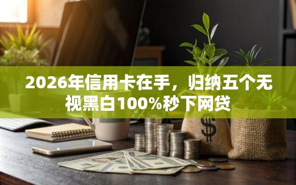 2026年信用卡在手，归纳五个无视黑白100%秒下网贷