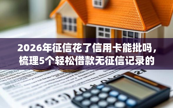 2026年征信花了信用卡能批吗，梳理5个轻松借款无征信记录的app