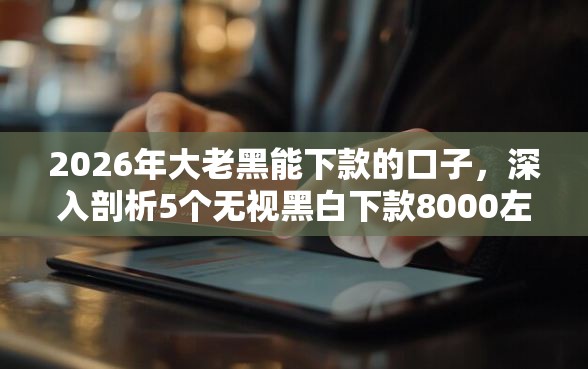 2026年大老黑能下款的口子，深入剖析5个无视黑白下款8000左右的口子