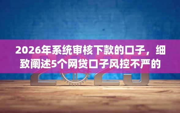 2026年系统审核下款的口子，细致阐述5个网贷口子风控不严的app