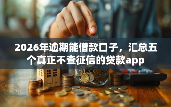 2026年逾期能借款口子，汇总五个真正不查征信的贷款app