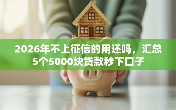 2026年不上征信的用还吗，汇总5个5000块贷款秒下口子