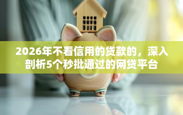 2026年不看信用的贷款的，深入剖析5个秒批通过的网贷平台