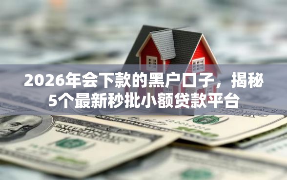 2026年会下款的黑户口子，揭秘5个最新秒批小额贷款平台
