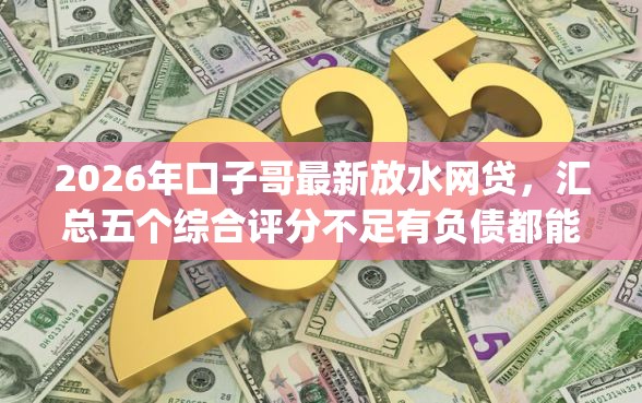 2026年口子哥最新放水网贷，汇总五个综合评分不足有负债都能下款app