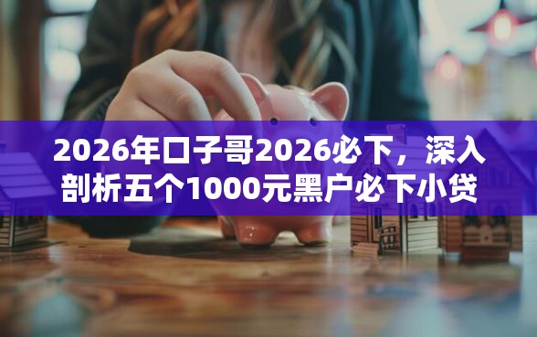 2026年口子哥2026必下，深入剖析五个1000元黑户必下小贷