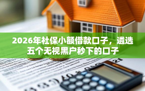 2026年社保小额借款口子，遴选五个无视黑户秒下的口子