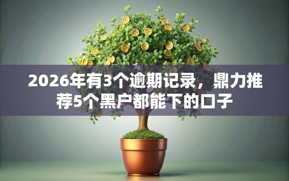 2026年有3个逾期记录，鼎力推荐5个黑户都能下的口子