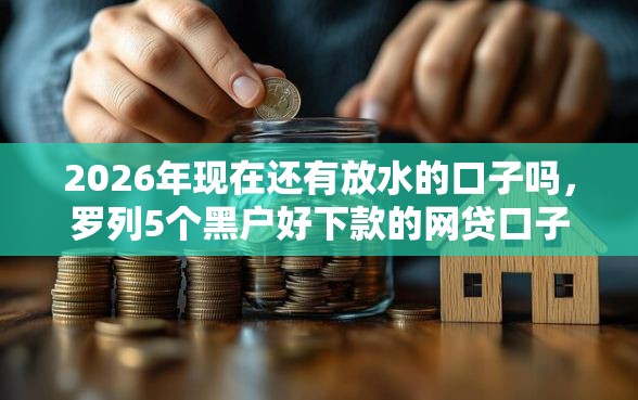 2026年现在还有放水的口子吗，罗列5个黑户好下款的网贷口子