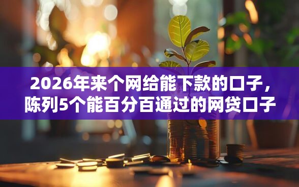 2026年来个网给能下款的口子，陈列5个能百分百通过的网贷口子