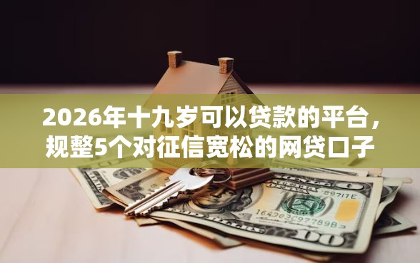 2026年十九岁可以贷款的平台，规整5个对征信宽松的网贷口子