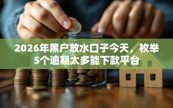 2026年黑户放水口子今天，枚举5个逾期太多能下款平台