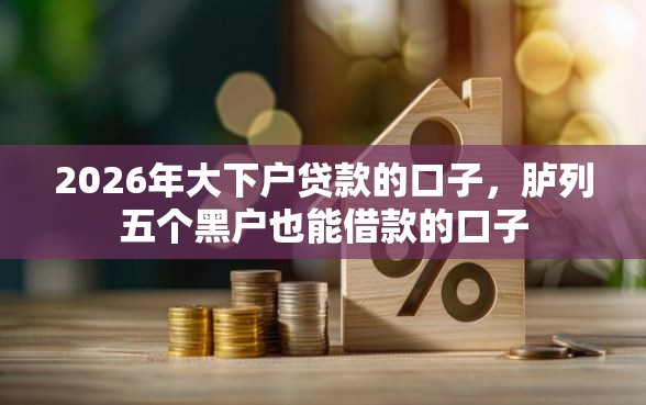2026年大下户贷款的口子，胪列五个黑户也能借款的口子