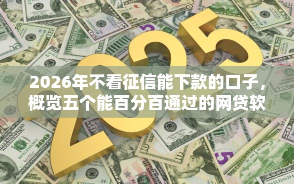 2026年不看征信能下款的口子，概览五个能百分百通过的网贷软件