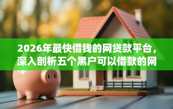 2026年最快借钱的网贷款平台，深入剖析五个黑户可以借款的网贷app
