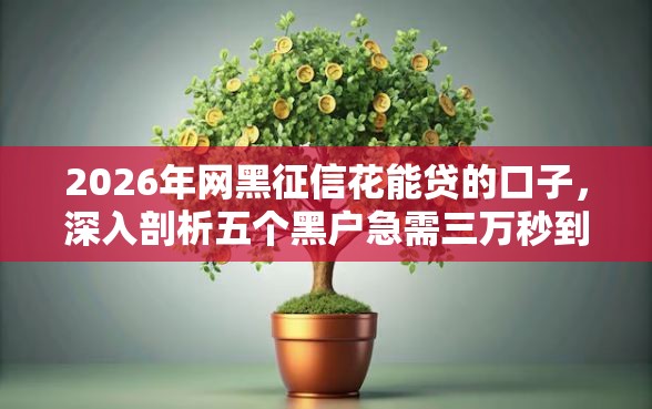 2026年网黑征信花能贷的口子,深入剖析五个黑户急需三万秒到的的口子 2026年网黑征信花能贷的口子,深入剖析五个黑户急需三万秒到的的口子