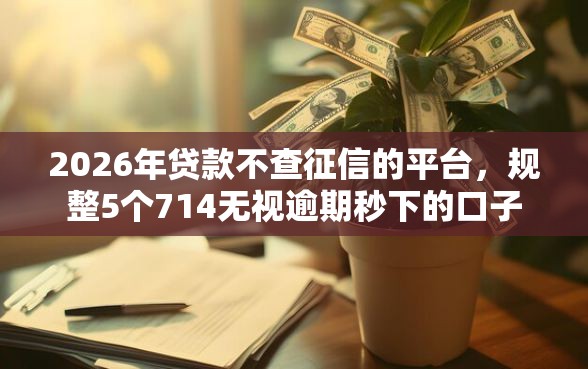 2026年贷款不查征信的平台，规整5个714无视逾期秒下的口子