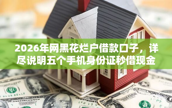 2026年网黑花烂户借款口子，详尽说明五个手机身份证秒借现金的平台