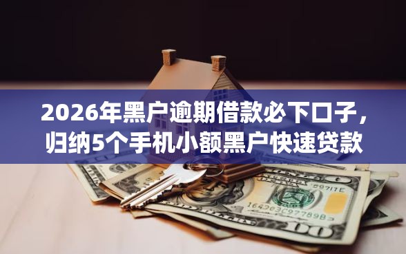 2026年黑户逾期借款必下口子，归纳5个手机小额黑户快速贷款app