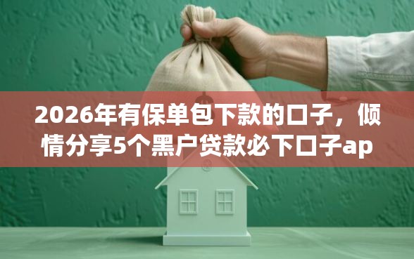 2026年有保单包下款的口子，倾情分享5个黑户贷款必下口子app