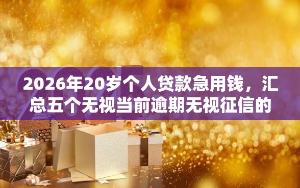 2026年20岁个人贷款急用钱，汇总五个无视当前逾期无视征信的借款口子