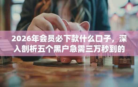 2026年会员必下款什么口子，深入剖析五个黑户急需三万秒到的的app