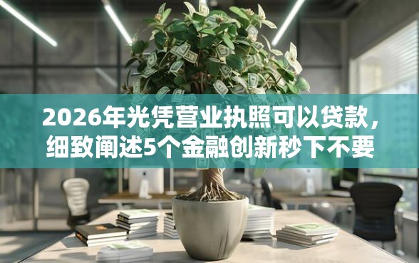 2026年光凭营业执照可以贷款，细致阐述5个金融创新秒下不要芝麻分的口子