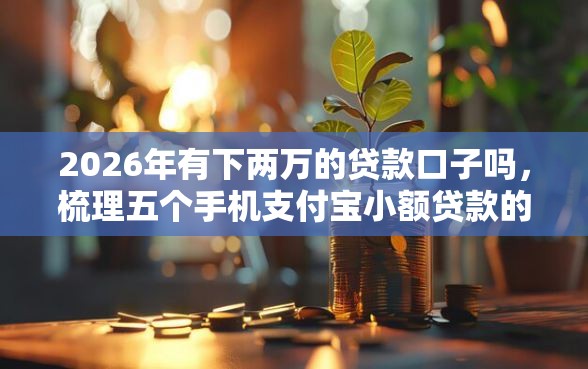 2026年有下两万的贷款口子吗，梳理五个手机支付宝小额贷款的平台