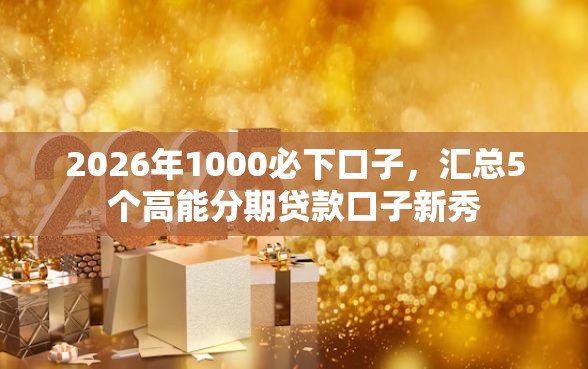 2026年1000必下口子，汇总5个高能分期贷款口子新秀