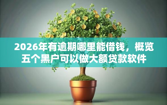 2026年有逾期哪里能借钱，概览五个黑户可以做大额贷款软件