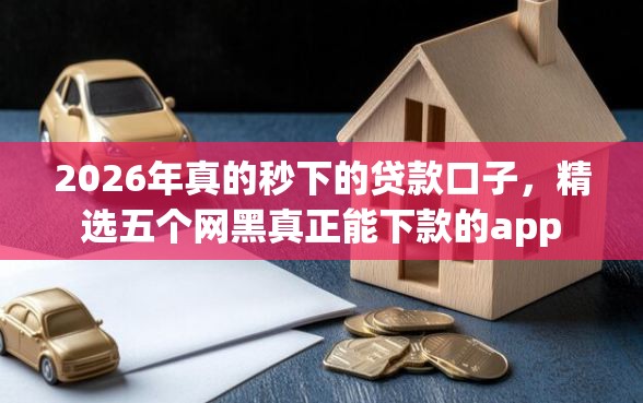 2026年真的秒下的贷款口子，精选五个网黑真正能下款的app