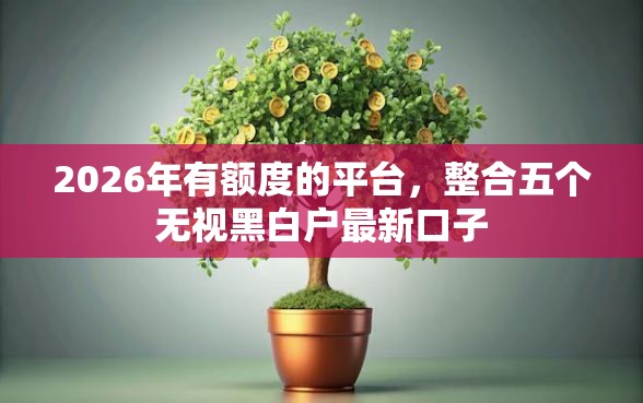 2026年有额度的平台，整合五个无视黑白户最新口子
