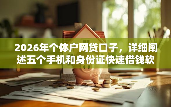 2026年个体户网贷口子，详细阐述五个手机和身份证快速借钱软件