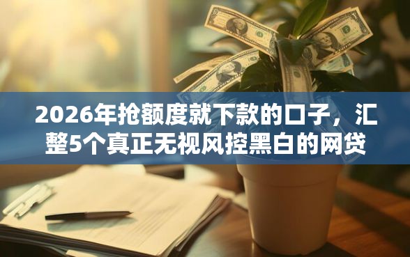 2026年抢额度就下款的口子，汇整5个真正无视风控黑白的网贷口子